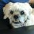 Megan Lippold's profile image