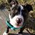 Michelle Theis's profile image