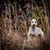 Waylon E. Ford's profile image