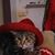 Beth Rojo-Robinson's profile image