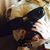 Judy Mann Searles's profile image
