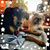 Christy Cichra's profile image