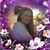 Cindy Piazza-Ivy's profile image