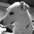 Cathy Petrosky's profile image