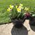 Terrie Rihn's profile image