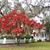 Michael-Melanie Limbach's profile image