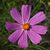 Beth Block's profile image