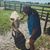 Desiree Medina's profile image
