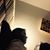 Miquel Claros's profile image