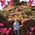 Michele Chapman's profile image