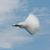 Todd Reber's profile image