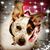 Stasey Schmiedel's profile image