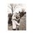 Renee Haase's profile image
