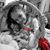 Aneidalee Velazquez's profile image