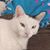 Christine Jurgens's profile image