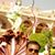 Praveen Nag's profile image