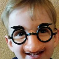 Amy Wendell Gibson's profile image