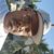 Anthony Anderson's profile image