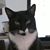 Denise Glisson's profile image