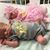 Wendy Layton Zweiacher's profile image