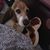 Cheryl Moschetti's profile image