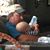 Doris McDougal Robb's profile image