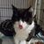 Andrea Estes's profile image