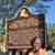 Phebe Hayes's profile image