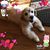 Irene Patino's profile image