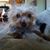 Carol Rickert's profile image