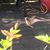 Kelly P. Gantt's profile image