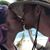 Kirsten Adams-Morgan's profile image