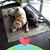 Krista Schramm McGough's profile image