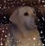 Sandy Recob's profile image