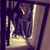Anna Marie Guzman's profile image