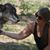Amanda Catherine's profile image