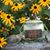 Doreen Marvin's profile image