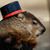Stephanie Woodson's profile image