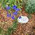 Tami Jo Wagner Pink's profile image