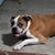 Billy Reagan's profile image