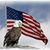 Steven Wise's profile image