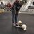 Cindy Spadafore's profile image