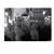 Sherri DrouinThibodeau's profile image