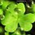 Megan Cunningham Jurgens's profile image
