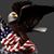 Steven W Webster's profile image
