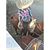 Eduardo Lopez Rodrigez's profile image