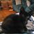 Lenita Wenrick's profile image