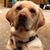 Patty Conner-Rose's profile image