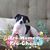 Maura McLoughlin Penas's profile image