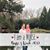 Krystin Rebello Mahoney's profile image